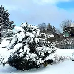 In Am Harz Aktuell Schneegarantie Goslar