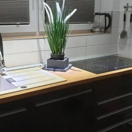 In Am Harz Aktuell Schneegarantie דירה